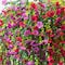 30" UV Resistant Artificial Daisy Hanging Bushes, 6ct.